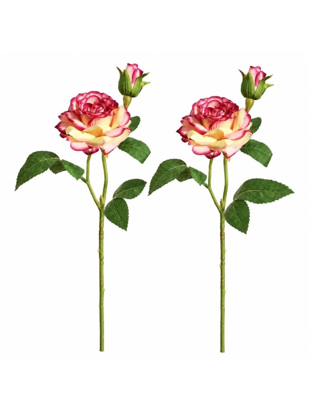 Cream Pink Artificial Rose Stems Set of 2, 17 Inch Silk Roses with Buds, French